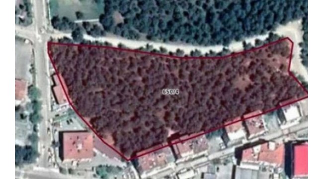 BELEDİYE ORMANLIK ALANI İMARA AÇTI!