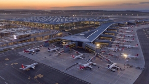 Ağaçların kesildiği İstanbul Havalimanı arazisinde orman bilmecesi