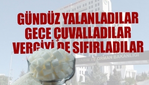 Resmi Gazete, Bakanlığı yalanladı: Şekere ithalat yolu açıldı