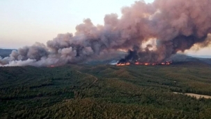Marmariste 6 bin 300 futbol sahası alan kül oldu