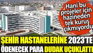 Şehir hastanelerine 2023te ödenecek para dudak uçuklattı. Hani bu projeler için hazineden tek kuruş çıkmıyordu