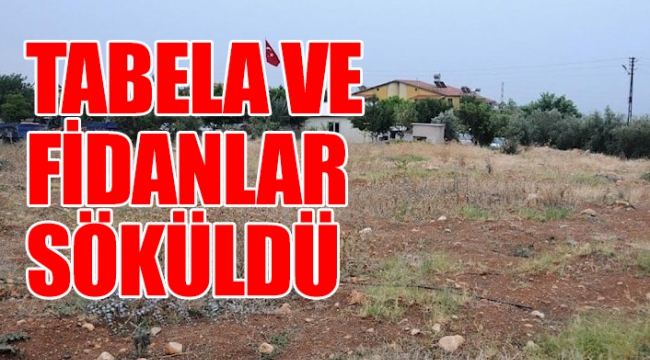 AKP'li müteahhit şehit ormanına göz dikti: Adım adım işgal...
