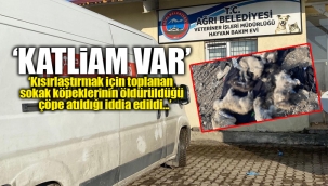 AKP'li Ağrı Belediyesi'nin hayvan barınağından korkunç görüntüler