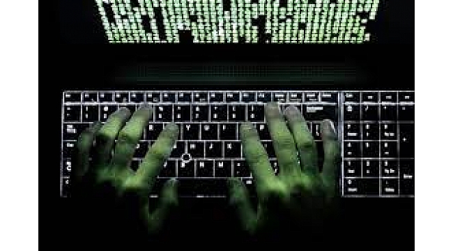 1 milyon dolarlık vurgun yapan suç örgütü çökertildi