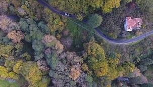 Bodrum'da CHP'li Meclis Üyesi Özden'e ormanda özel imar izni