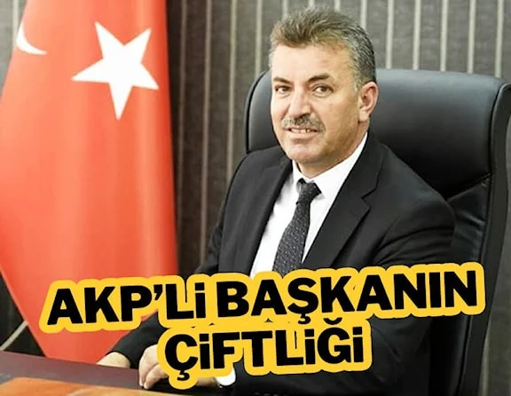 AKP'li başkanın çiftliği